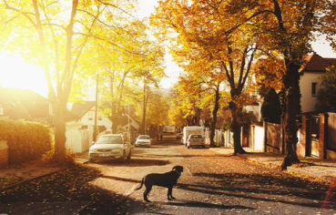 Master The Art Of Getting Your Property's Worth