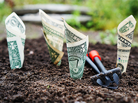 Pave the Way to Financial Freedom by Generating Unlimited Passive Income 