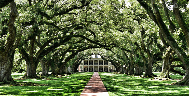 Travel Tips For Unforgettable New Orleans